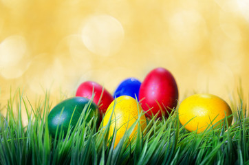Easter eggs on green grass