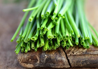 chives © zoryanchik