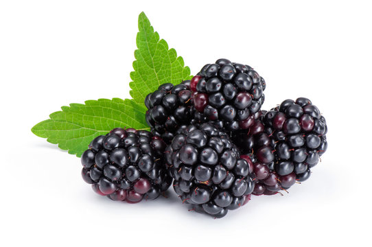 Blackberries  isolated on white background