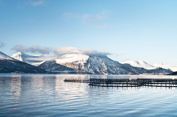Naklejka premium Salmon farms in Norway