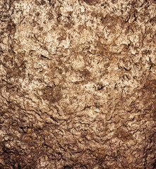 stone texture