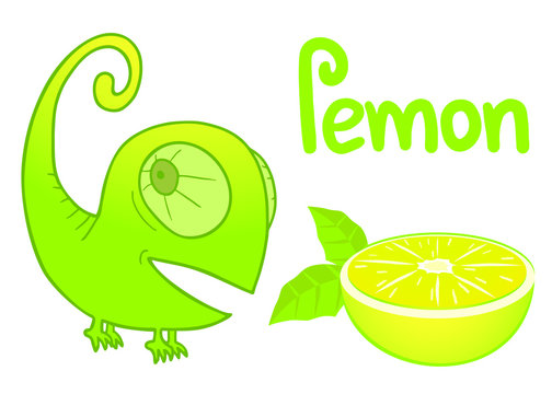 Lemon and chamaleon