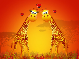 Giraffe in love