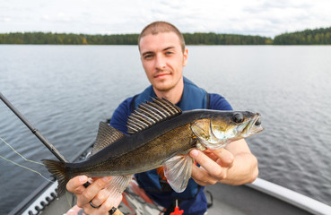 Happy fisherman with zander fishing trophy