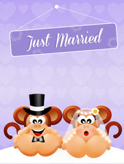 Wedding of monkeys