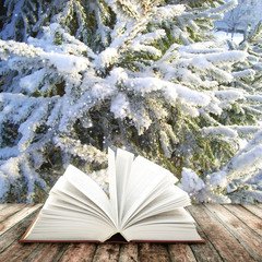 Magic book