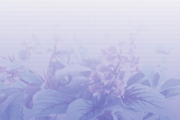 texture design for background,