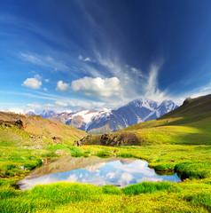 Lake on the green field.