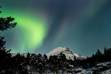 Northern lights in the night sky