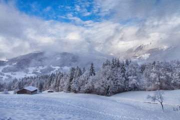 Fototapeta na wymiar krajobraz pod śniegiem
