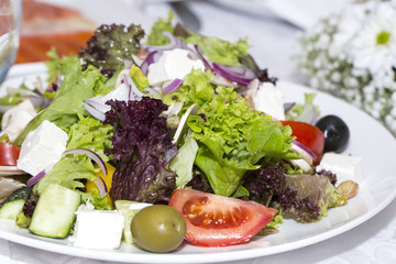 salad on a white background in the restaurant