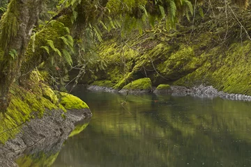 Zelfklevend Fotobehang A very smooth green river with forest banks © livingstonphoto