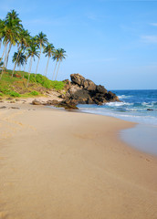 beach with coconut palm trees