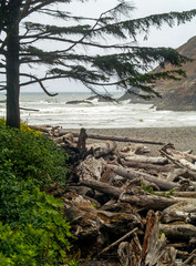 Fototapeta na wymiar View of the Oregon Coast through the Trees of Ecola State Park