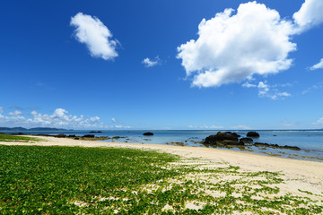 伊是名島の美しい珊瑚の海と夏空