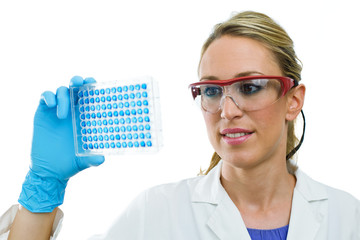 young woman examining microplate