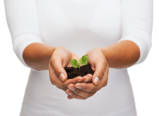 woman hands holding plant in soil
