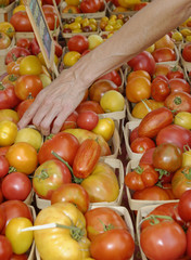 Chagrin Fall Street Market