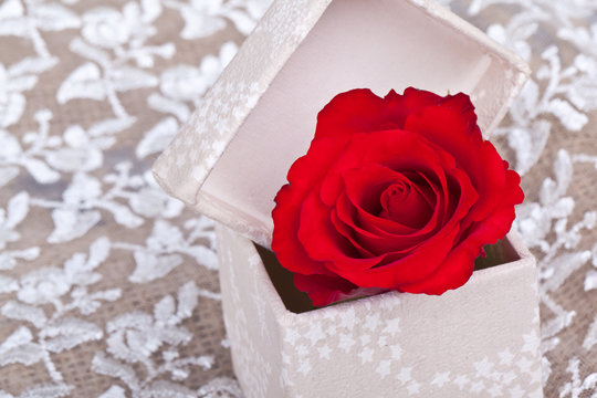 one red rose in box on withe lace
