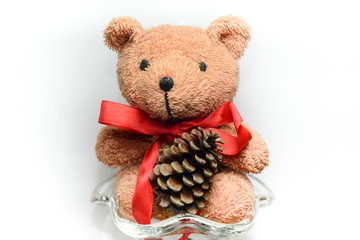 teddy bear with pine cone