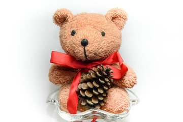 teddy bear with pine cone