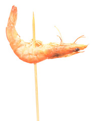 shrimp
