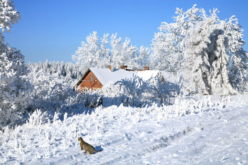 Picturesque village Pasterka landscape in white winter. Poland