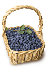 Fototapeta na wymiar Blueberries in the basket isolated