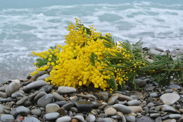 8 marzo in riva al mare