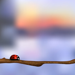 Vector background with ladybird © arturaliev