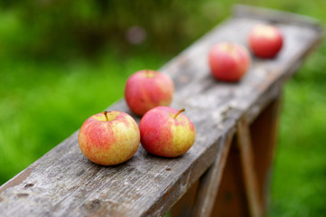 Fresh ripe red apples