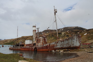 Fototapeta na wymiar Grytviken, Georgia Południowa