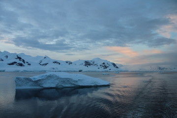 Neko Harbour, Antarctica