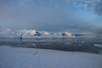 Neko Harbour, Antarctica