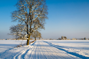 Winter landscape with road to a countryside