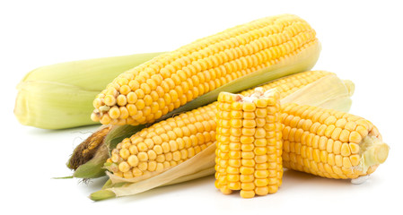 Fresh raw corn cobs isolated on the white background © EM Art