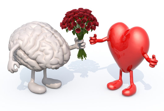brain hands her a bouquet of roses to a heart