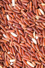 Red rice