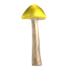 realistic 3d render of mushroom