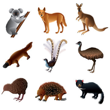 Australian Animals Vector Set