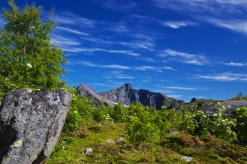 Foto op Canvas Mountainous panorama © harvepino