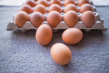 Eggs