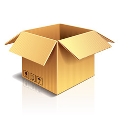 Opened cardboard box vector illustration