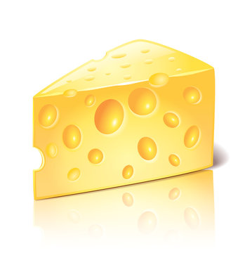 Cheese isolated on white vector