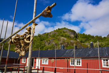 Naklejka premium Fishing hut