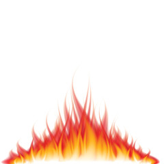 Burning fire on white vector illustration
