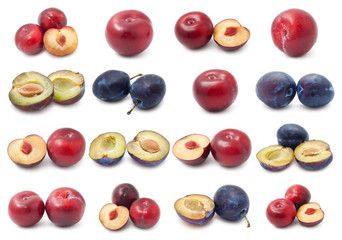 Plum