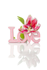 "Love" word and tulips