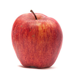 apple isolated