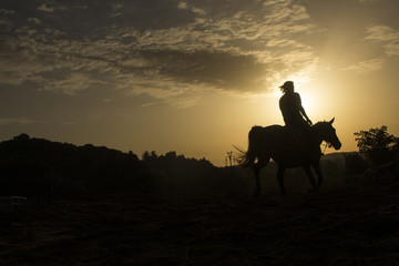 Fototapeta premium Horse riding silhouette